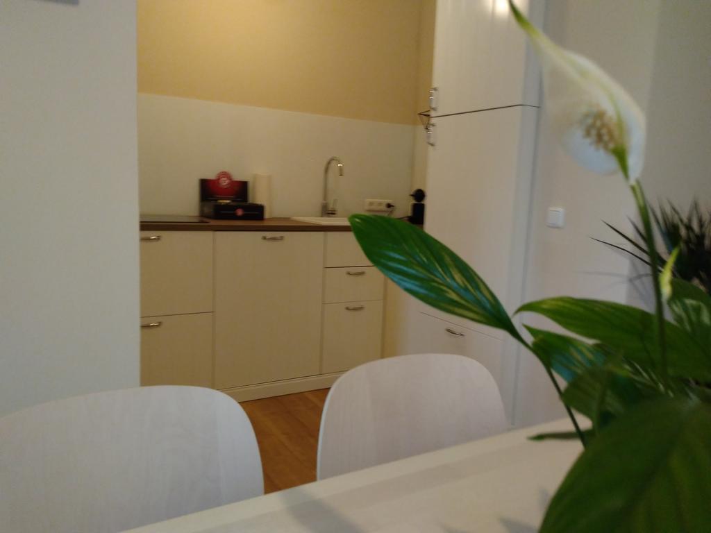 Sabines Apartments Ferienwohnungen Frauenkirchen Eksteriør billede