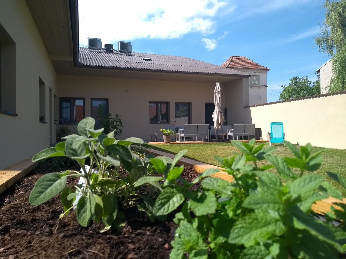 Sabines Apartments Ferienwohnungen Frauenkirchen Eksteriør billede
