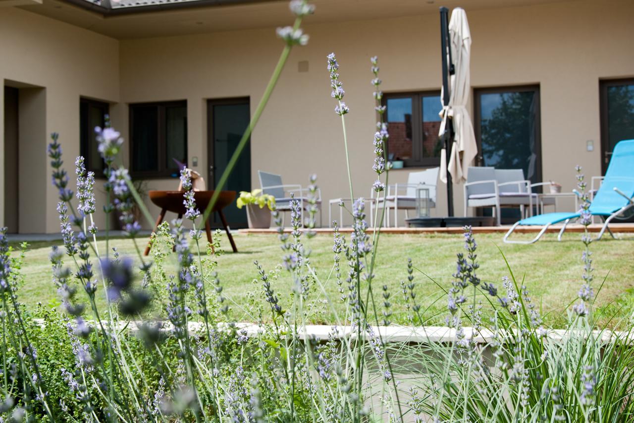 Sabines Apartments Ferienwohnungen Frauenkirchen Eksteriør billede