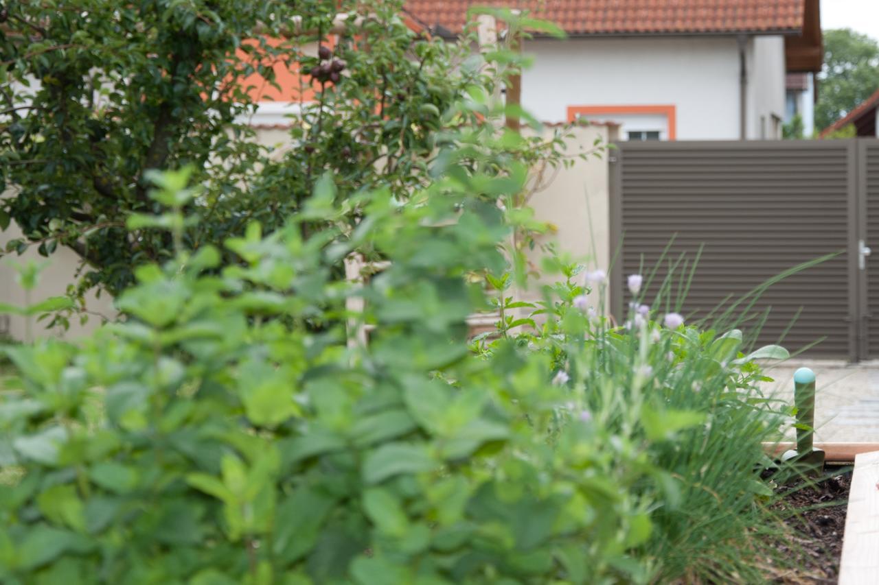Sabines Apartments Ferienwohnungen Frauenkirchen Eksteriør billede